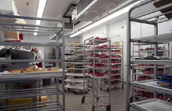 Điểm mặt các lợi ích vượt trội của kho lạnh bảo quản thực phẩm