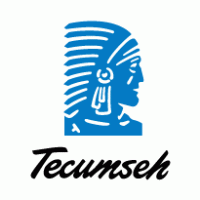 CỤM MÁY NÉN DÀN NGƯNG TECUMSEH