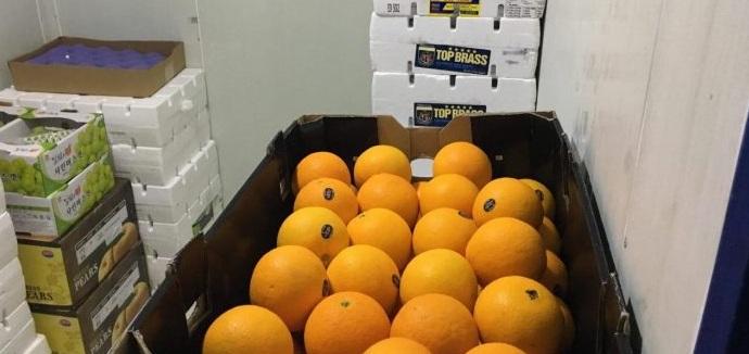 Cách bảo quản cam trong kho lạnh