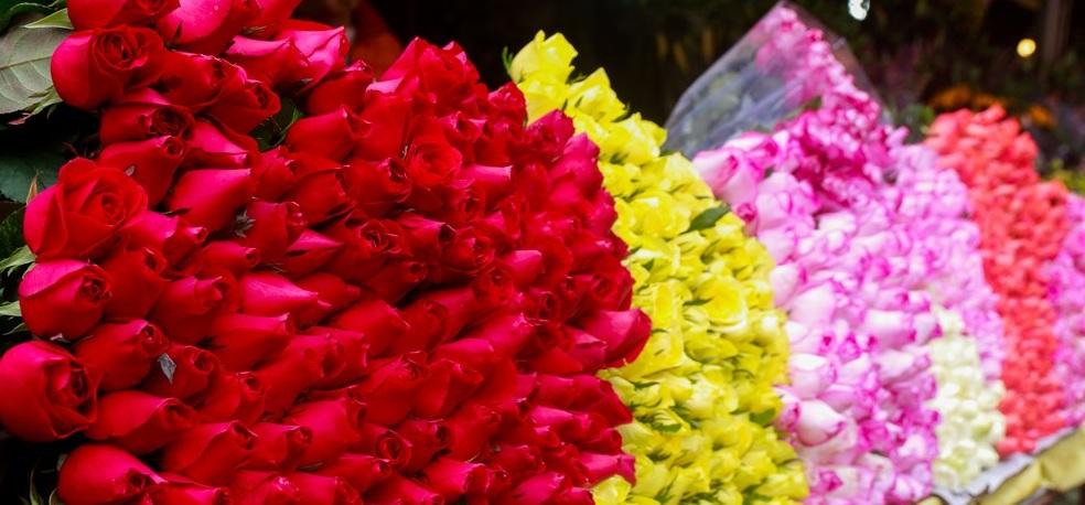 Kho lạnh bảo quản hoa tươi