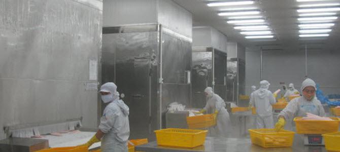 làm kho đông lạnh