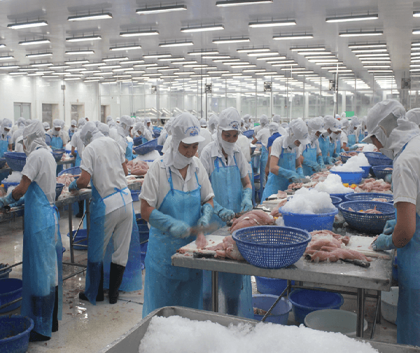 Lắp đặt kho đông lạnh: 3 lý do bạn nên tiến hành ngay Lắp đặt kho đông lạnh: 3 lý do bạn nên tiến hành ngay