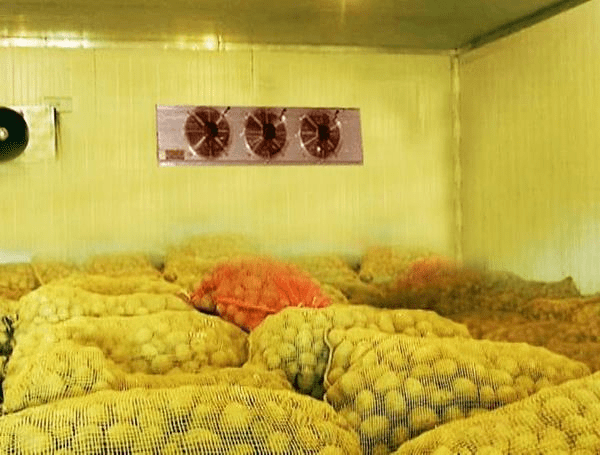 Lắp đặt kho lạnh bảo quản nông sản có thực sự cần thiết?